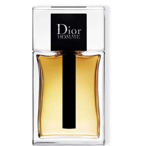 primor dior homme